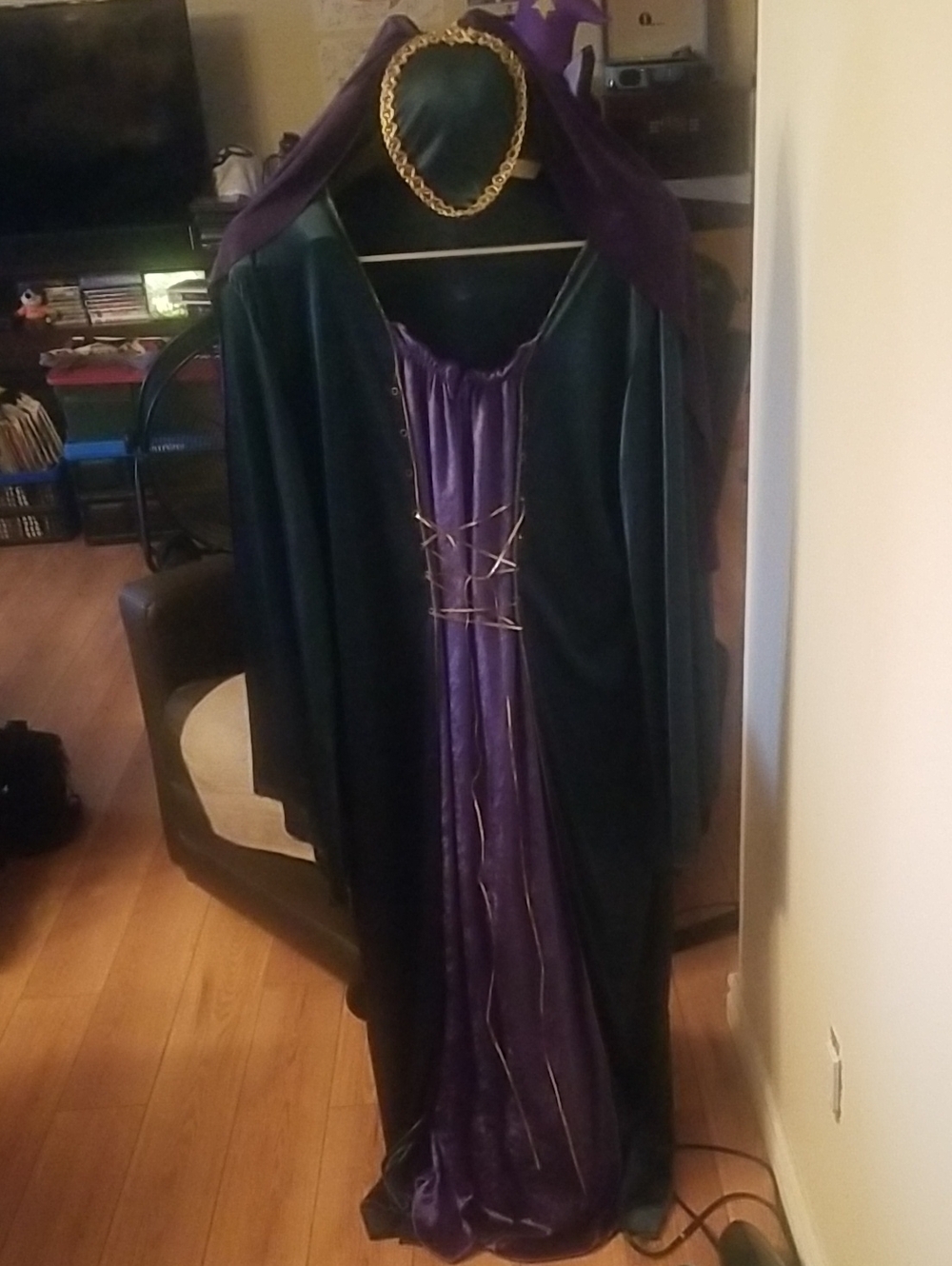 Ladies Dark Green and Purple Maid Marion Costume with Gold Trim And Hat Plus 2X